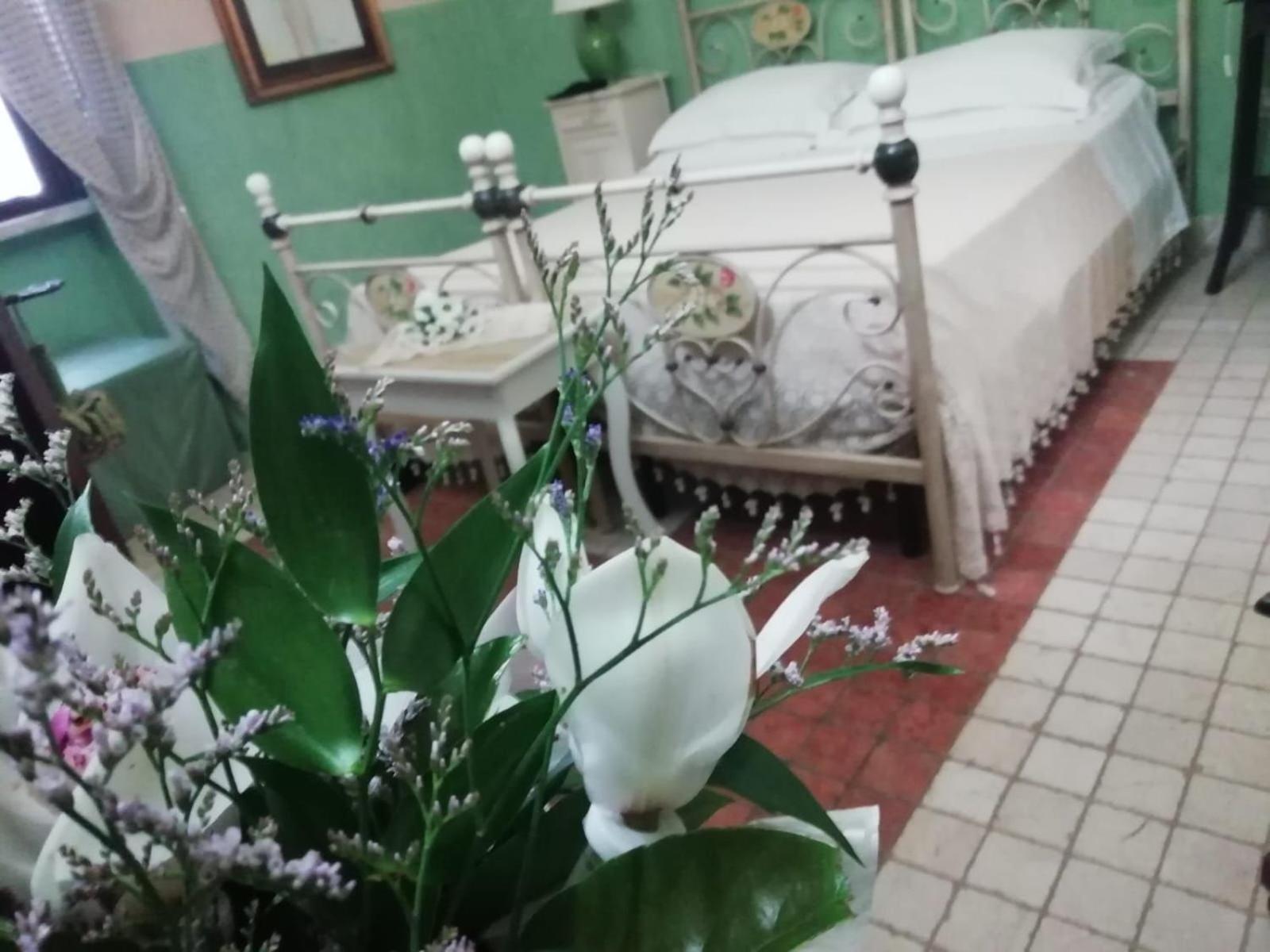 萨尔维Anticadimora Dei Pepe住宿加早餐旅馆 外观 照片